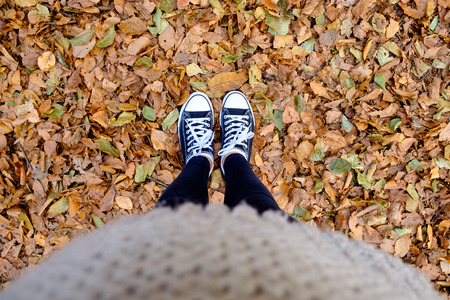 feets on yellow leaves backgroundの写真素材