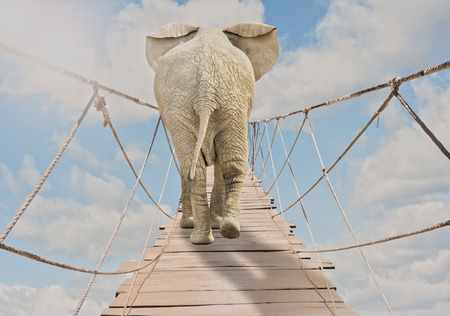 elephant walking througa wooden bridge on a cloudy skyの写真素材