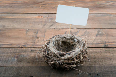 empty bird nest on wooden backgroundの写真素材