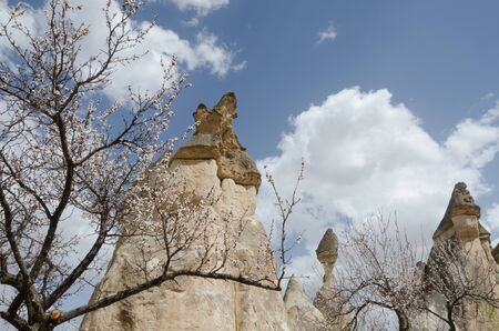 Rock formations and almond tree branches below a clear and cloudy skyの写真素材