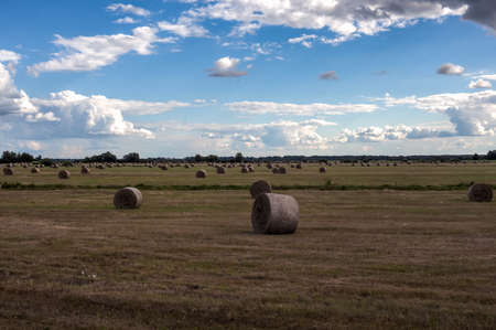 The end of the hay on the flood plainsの写真素材