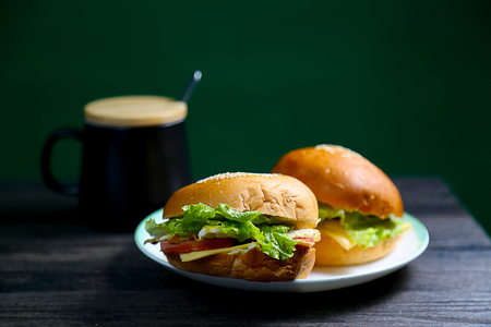 Hamburgerの写真素材