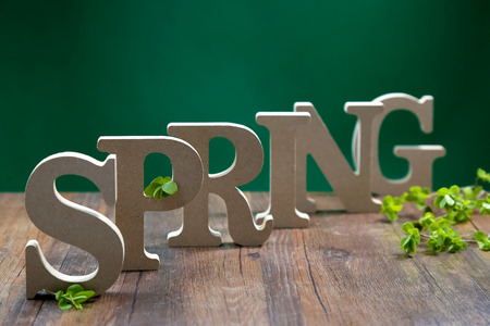 wooden spring letterの写真素材