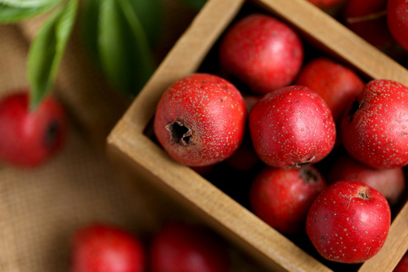 Wooden box of Hawthorn on the Hessianの写真素材
