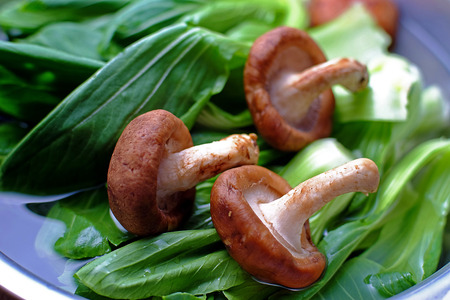 Chinese cabbage with mushrooms ingredientsの写真素材