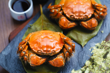 steamed crabs of China Yangcheng lake on stone boardの写真素材