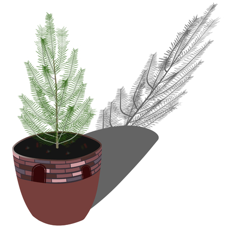 An Illustration of Beautiful Christmas Tree, Fir Tree or Pine Tree in A Flowerpot for Garden Decorationのイラスト素材