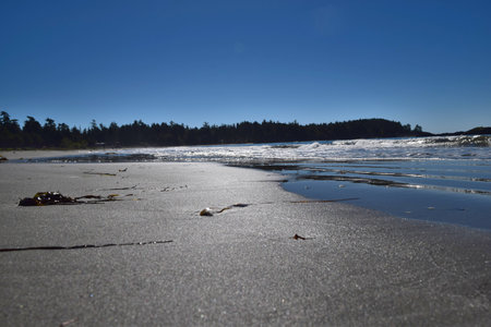 Beach on the West side of Vancouver Islandの写真素材