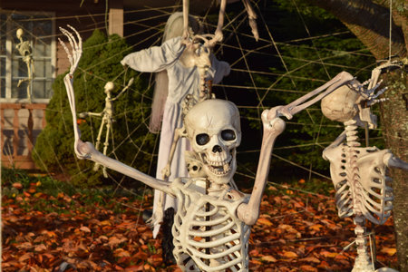 Halloween skeletonの写真素材