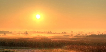 Fields in fog after sunriseの写真素材