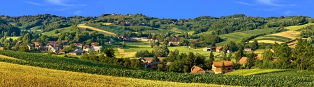 Green landscape village scenery, with corn and hay fieldsの写真素材
