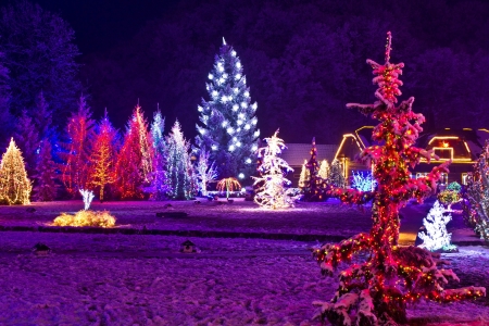 Christmas fantasy - park & forest in xmas lights, Croatiaの写真素材