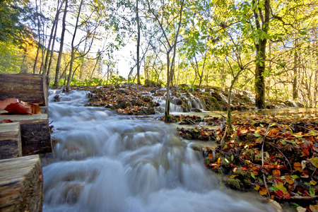 Flowing stream in Plitvice lakes national park of Croatiaのeditorial素材