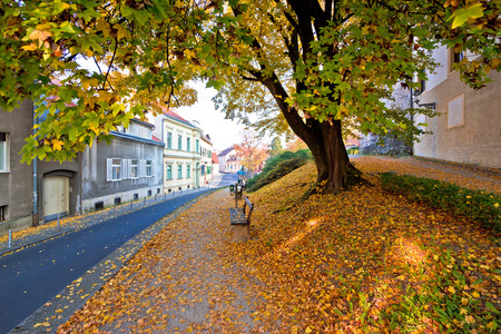 Zagreb historic upper town autumn view, capital of Croatiaの写真素材