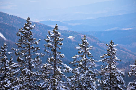View from Klippitztorl peak in Alps view alpine trees, Carinthia, Austria