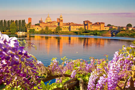 City of Mantova skyline early morning view through flowers from lago Inferiore, European capital of culture and UNESCO world heritage site, Lombardy region of Italyのeditorial素材