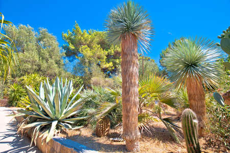 Palmizana on Pakleni Otoci islands mediterranean botanical garden view, Hvar archipelago of Croatiaの写真素材