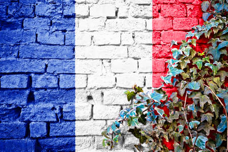 French grunge flag on brick wall with ivy plant, country symbol concept of Franceの写真素材