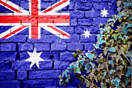 Australian grunge flag on brick wall with ivy plant, country symbol concept of Australiaの写真素材