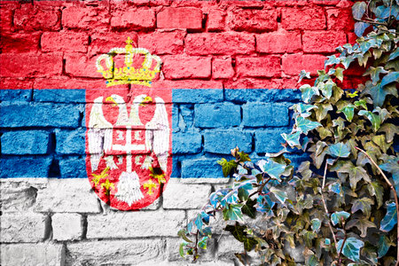 Serbian grunge flag on brick wall with ivy plant, country symbol concept of Serbiaの写真素材