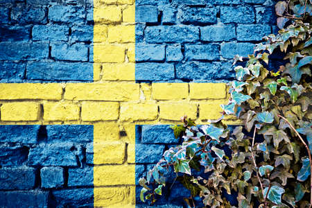 Swedish  grunge flag on brick wall with ivy plant, country symbol concept of Swedenの写真素材