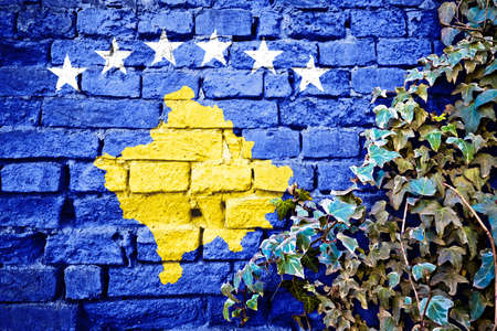 Kosovo Republic grunge flag on brick wall with ivy plant, country symbol conceptの写真素材