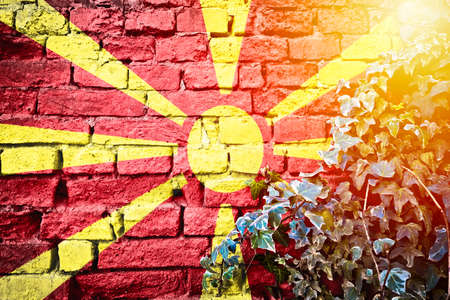North Macedonia grunge flag on brick wall with ivy plant sun haze view, country symbol conceptの写真素材