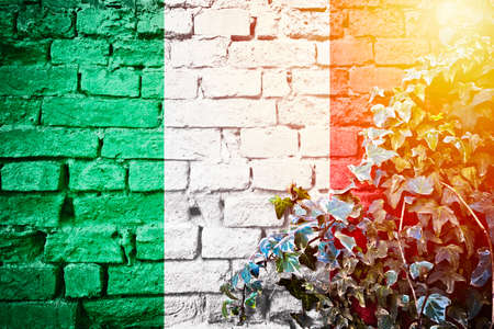 Italy grunge flag on brick wall with ivy plant sun haze view, country symbol conceptの写真素材