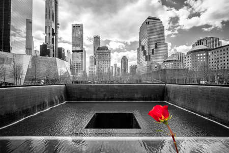 New York City Ground Zero black and white view with red rose, United states of Americaの写真素材