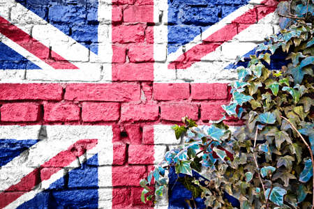 United Kingdom grunge flag on brick wall with ivy plant, country symbol conceptの写真素材