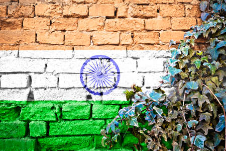 India grunge flag on brick wall with ivy plant, country symbol conceptの写真素材