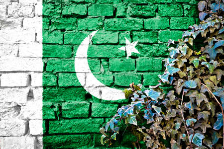 Pakistan grunge flag on brick wall with ivy plant, country symbol conceptの写真素材