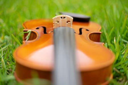 String instrument classical music art brown violin antique outdoor on the garden autumnの写真素材