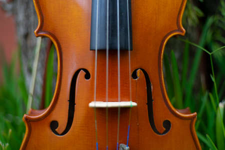 String instrument classical music art brown violin antique outdoor on the garden autumnの写真素材