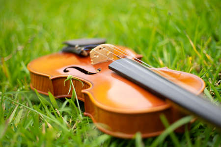 String instrument classical music art brown violin antique outdoor on the garden autumnの写真素材