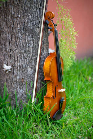 String instrument classical music art brown violin antique outdoor on the garden autumnの写真素材