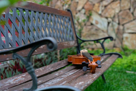 String instrument classical music art brown violin antique outdoor on wood bench in the garden autumnの写真素材
