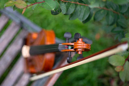 String instrument classical music art brown violin antique outdoor on wood bench in the garden autumnの写真素材