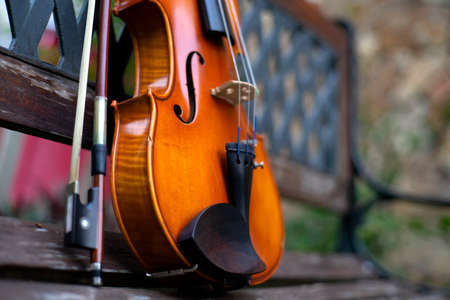 String instrument classical music art brown violin antique outdoor on wood bench in the garden...
