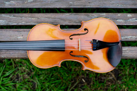 String instrument classical music art brown violin antique outdoor on wood bench in the garden autumnの写真素材