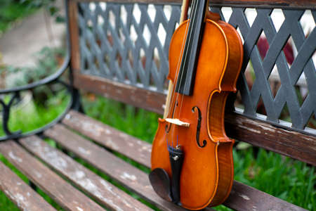 String instrument classical music art brown violin antique outdoor on wood bench in the garden autumnの写真素材