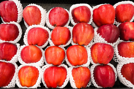 red applesの写真素材