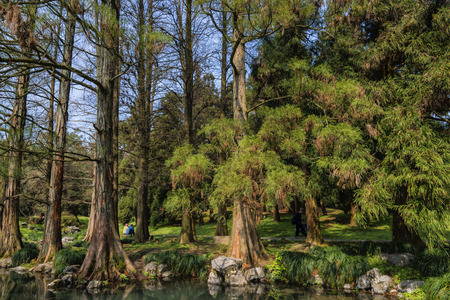 Two people resting in the woodsの写真素材