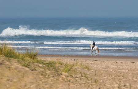walk on the beachの写真素材