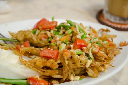 Thai papaya salad aka Som Tam from Thailand crispy versionの写真素材