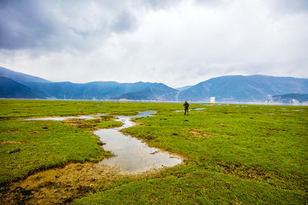 wetland sceneryの写真素材