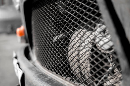 Through the grille of the carの写真素材