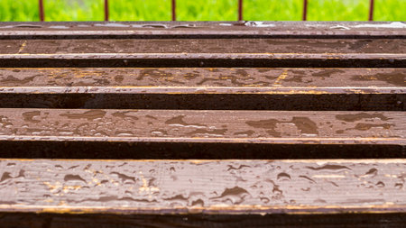 the wet benchの写真素材