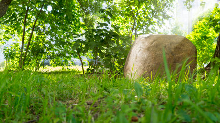 the stone in the sunlightの写真素材
