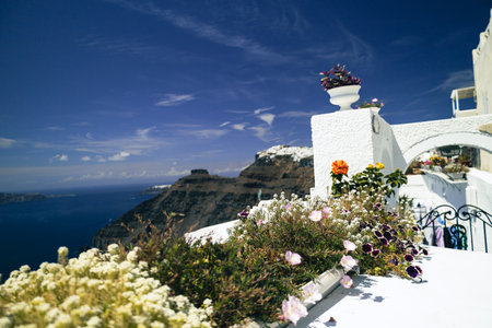 Flowers in Fira with Caldera view, Santoriniの写真素材